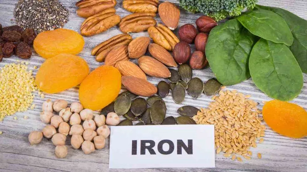 Best Iron Rich Foods