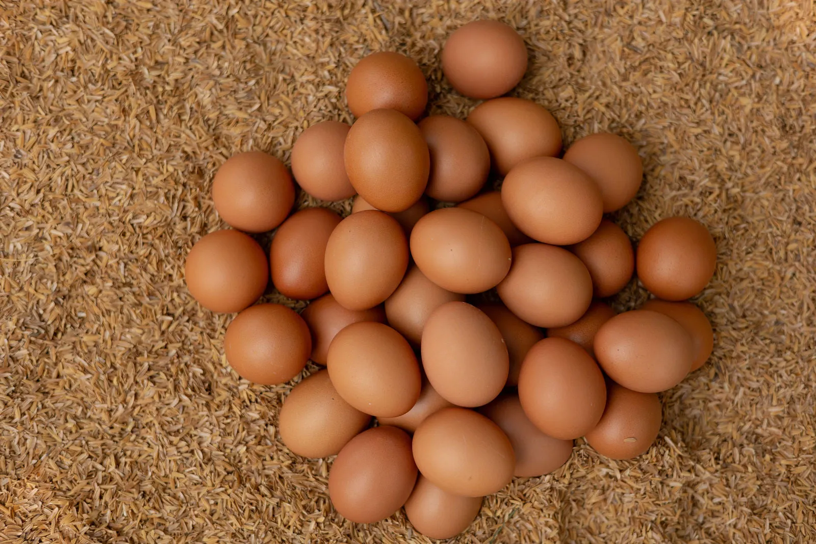 7. Eggs – A Perfect Protein Source