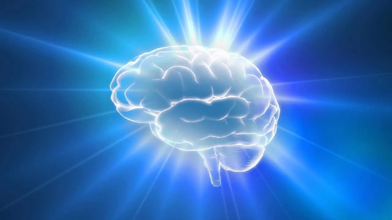 5. Improves brain function: