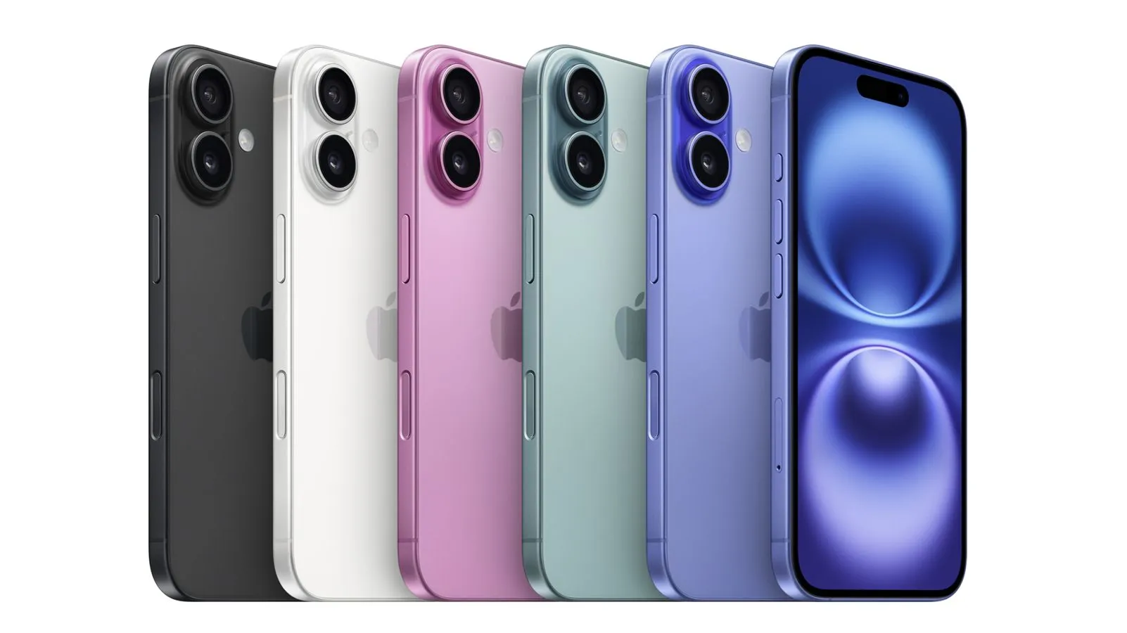 Black Friday Sale Alert