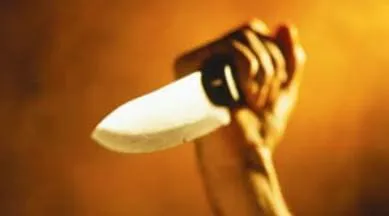 Gujarat Sabarmati Express Stabbed