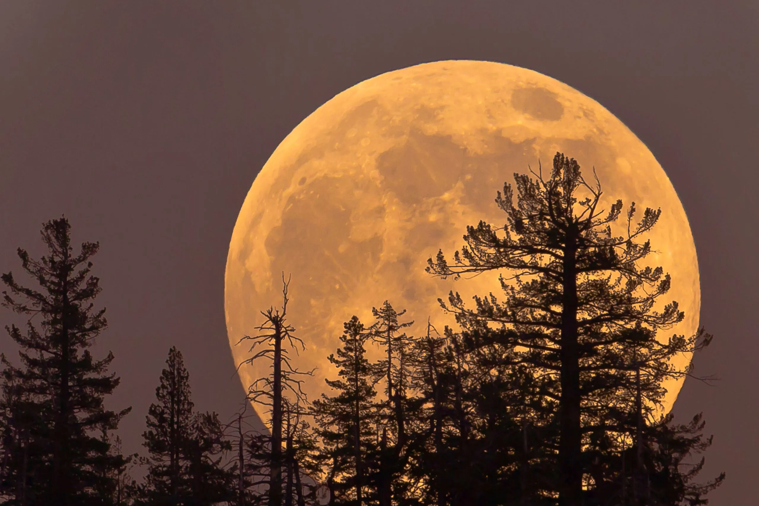 What is Cold Moon: Cold Moon in December 2025