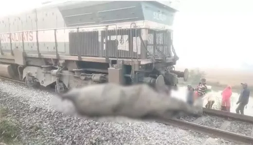 Assam Train Accident