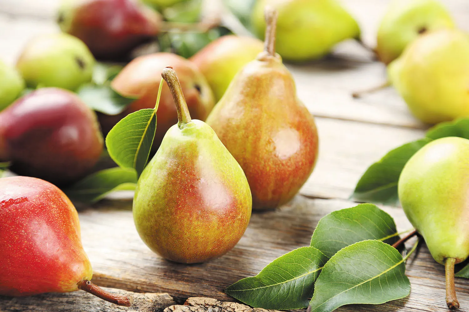 Health Benefits of Pear: Get rid of these 5 health issues with pears