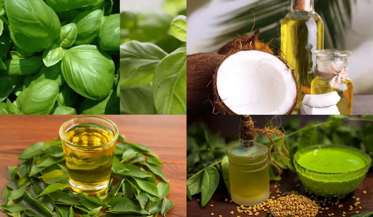 White Hair Remedy at Home