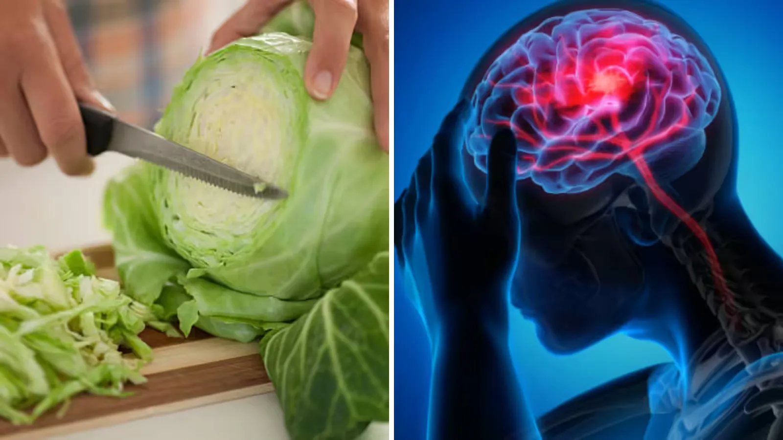 Is Cabbage Dangerous