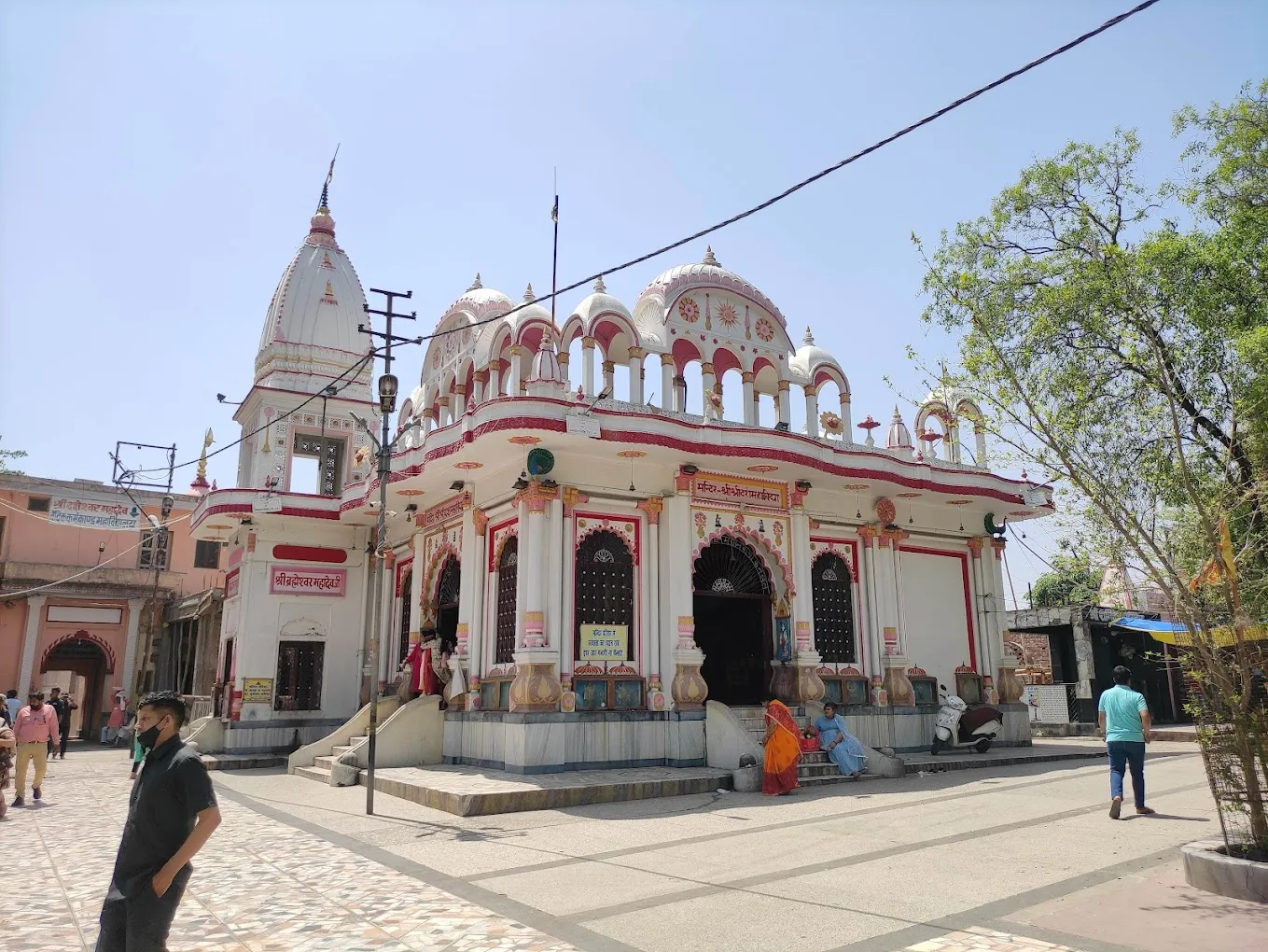 Special worship at Daksheshwar Mahadev Temple