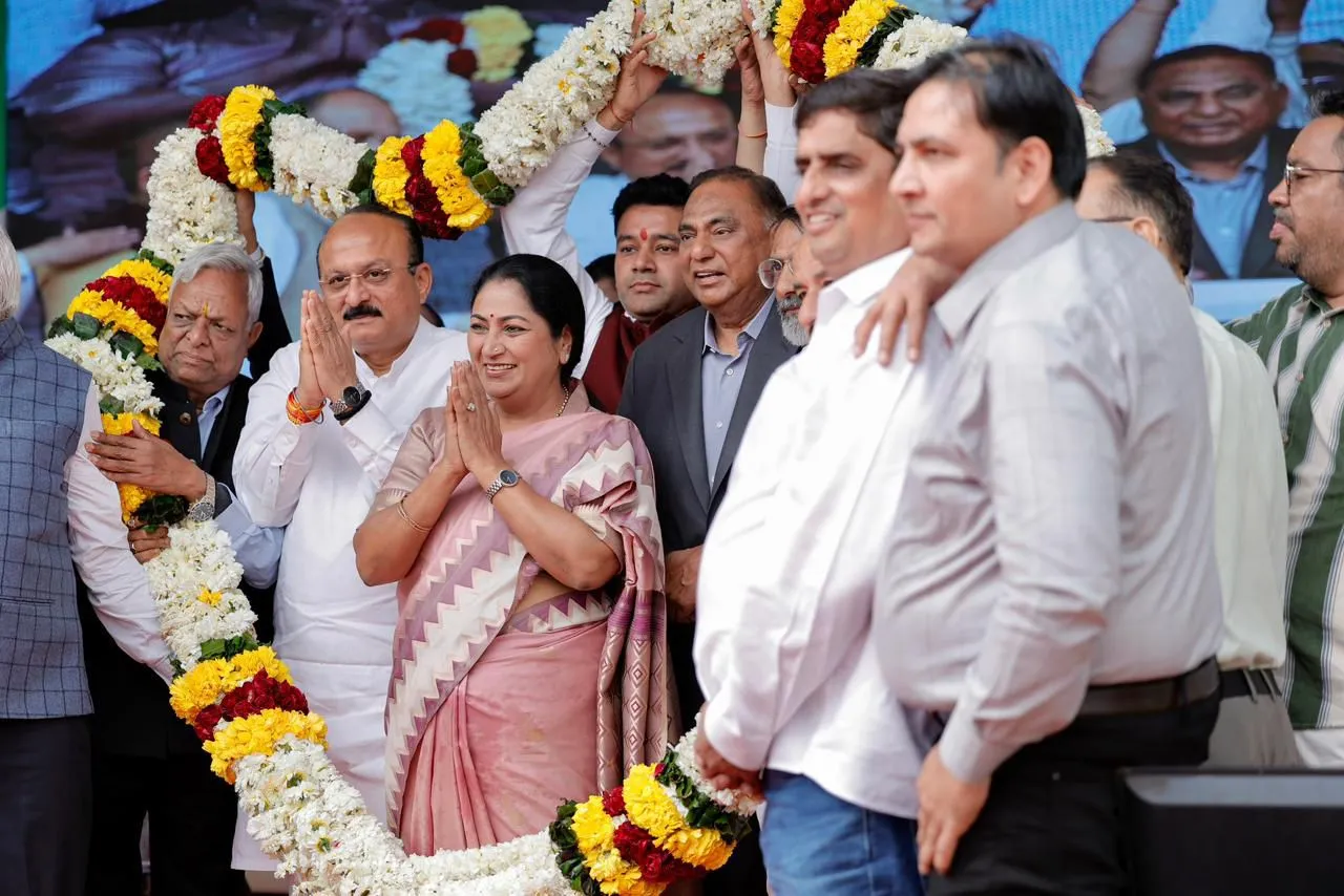 Delhi Electricity Infrastructure