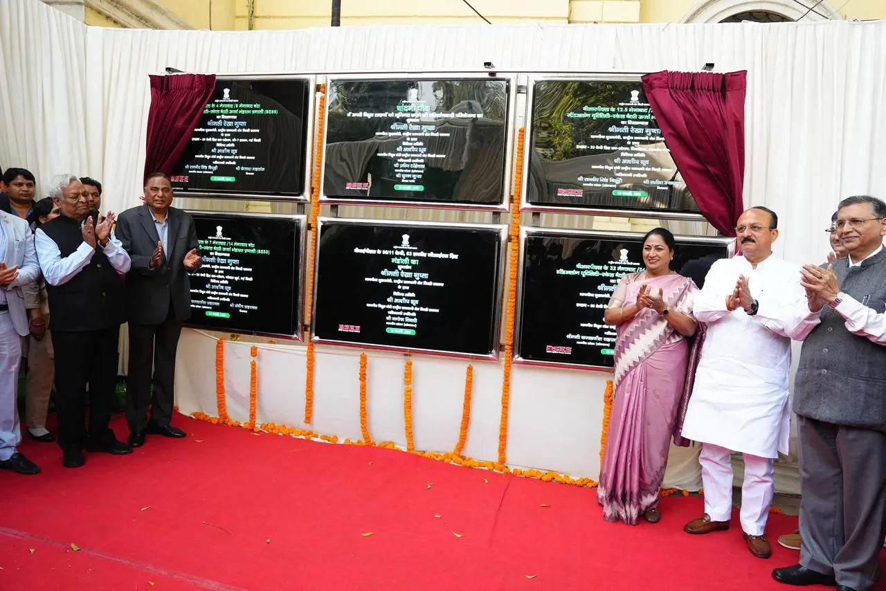 Delhi Electricity Infrastructure