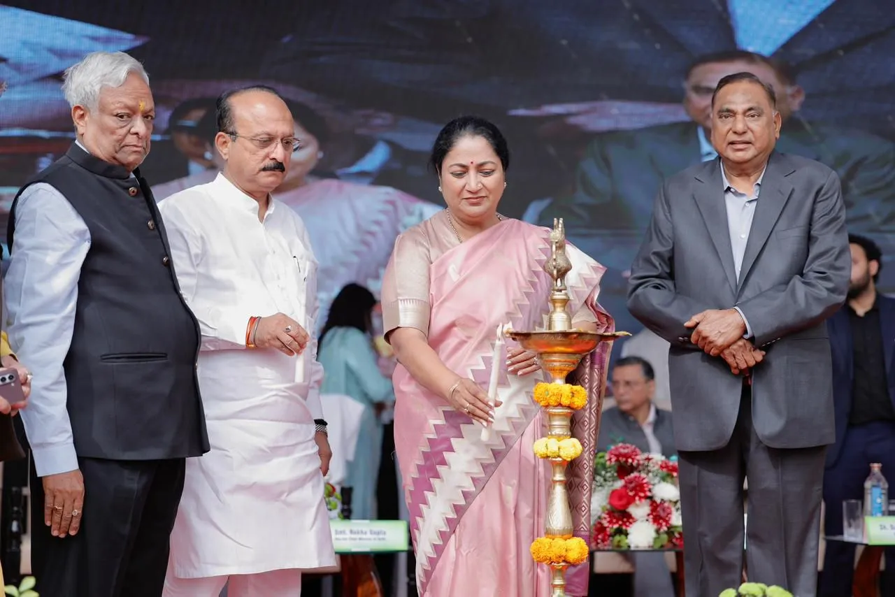 Delhi Electricity Infrastructure