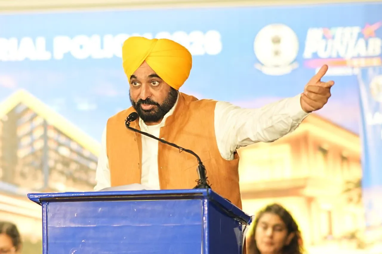 Industry Growth Punjab