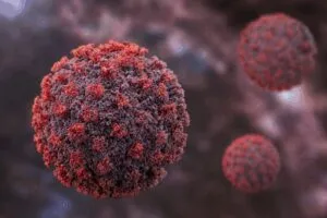 Hantavirus
