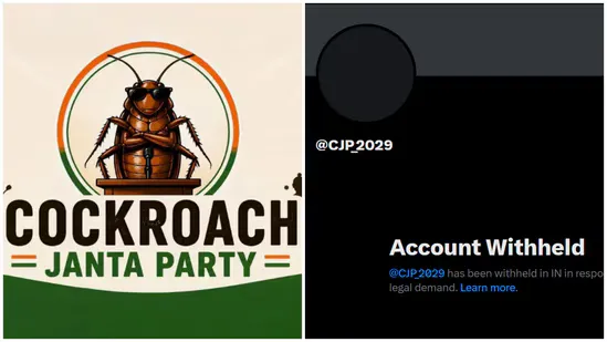 CJP_2029