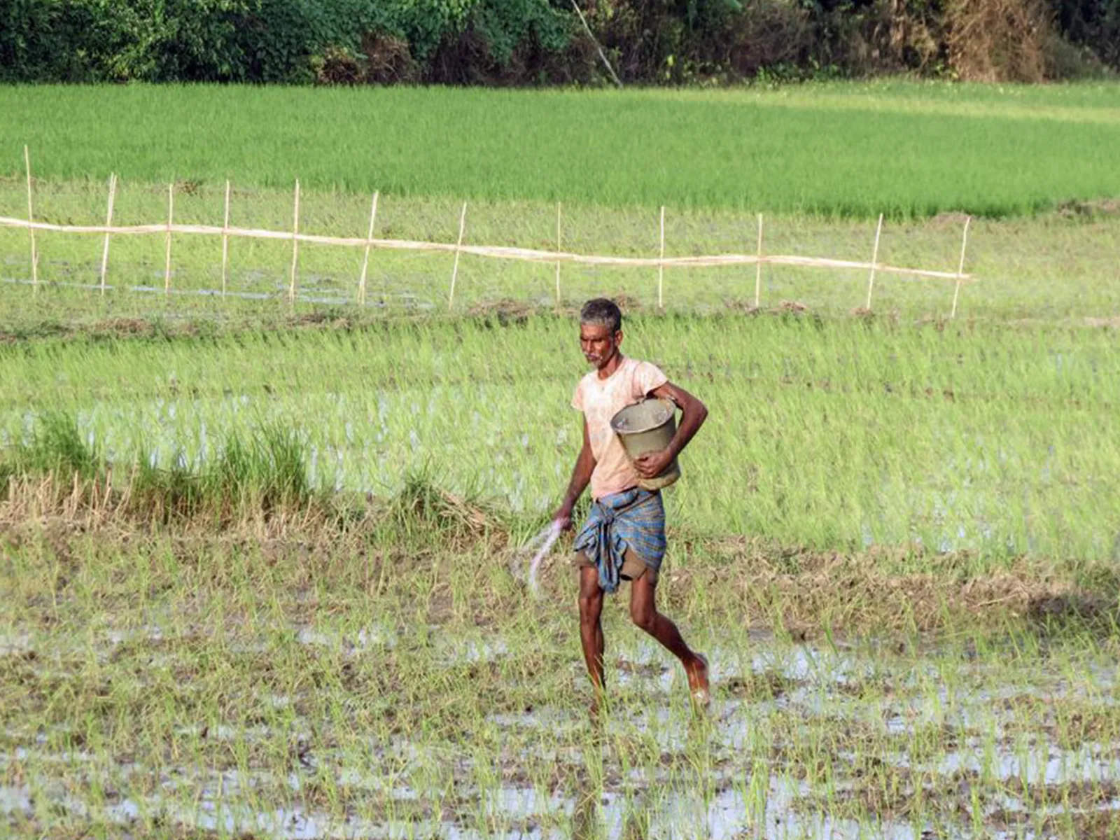 Agri loans may get impact due to El Nino, credit growth will remain ...