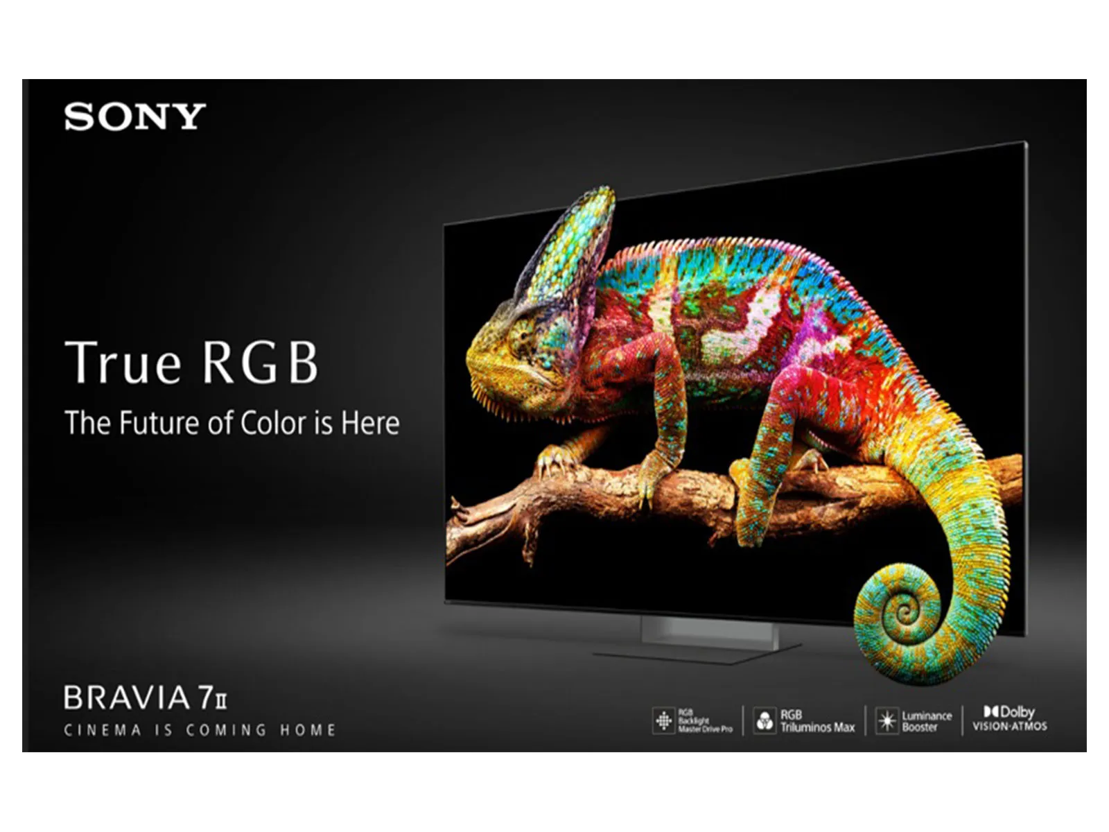 The Future of Colour is Here: Sony Introduces its True RGB TVs Powered ...